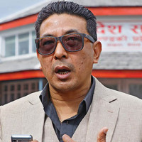व्यवसायीलाई आकर्षित गर्दै ड्रागन फल