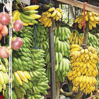 ब्याजदर घट्दा पनि बढ्न सकेन कर्जा प्रवाह