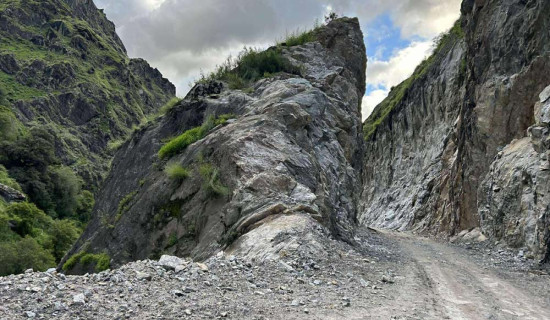 कोक्रोमा नानी, घरदैलोमा उम्मेदवार