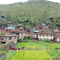 बेनीमा २० वर्षपछि ‘धानको बाला नाच’ प्रदर्शन