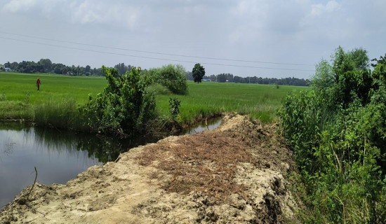 प्रतिस्पर्धामा तीन उम्मेदवार