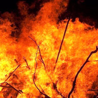 लोकतान्त्रिक गणतन्त्रमा प्रतिगमन असम्भव : प्रधानमन्त्री ओली