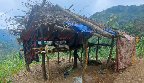 मुख्यमन्त्री बानियाँले चेपाङको घर बनाउने