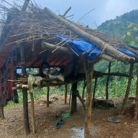 एक पुरुषको शव नहरमा फेला