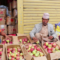तिम्बुङ पोखरी ट्रेल रनको तयारी