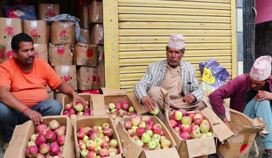 बुद्धजयन्ती भव्य रूपमा मनाइने