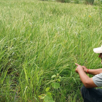 एसिया रग्बी सेभेन्समा फिलिपिन्सलाई दोहोरो उपाधि