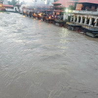 पञ्चमीमा रुद्राक्ष र पिपल रोपियो