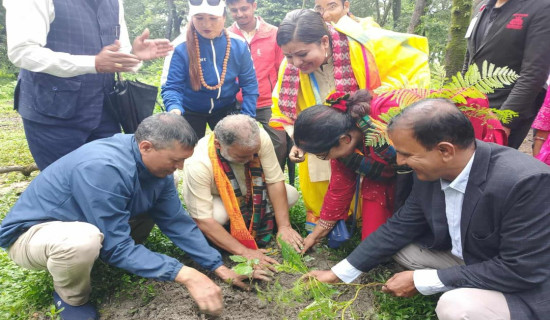 सुनसान छन् बागलुङका घरबास