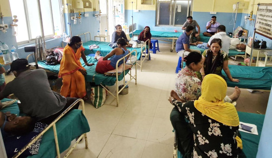 वीरगञ्जमा हैजा सङक्रमितको संख्या घट्दै