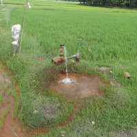 करेन्ट लागेर सातजनाको मृत्यु