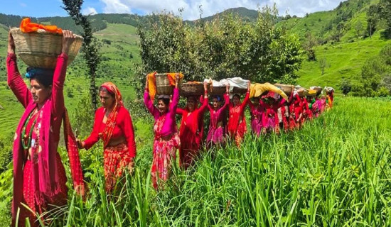 दुई हप्तादेखि महिला बेपत्ता