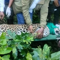 उम्मेदवारको मृत्युपछि तुलसीपुर–१७ मा जेठ ३ गते निर्वाचन