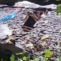 पाँच हजार बढीमा स्क्रब टाइफस पुष्टि, लाग्न नदिन के गर्ने ?