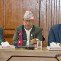 विमला घिमिरेको राजनीतिक यात्रा : गाउँ समितिदेखि राष्ट्रिय सभा उपाध्यक्षसम्म