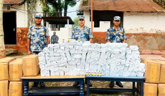 संघ–संस्था ऐनको मस्यौदाले संविधानले प्रत्याभूत गरेको मौलिक हक संकुचन गरियो : सिजप