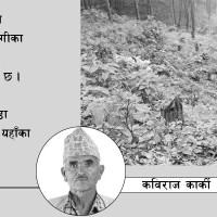 फेरि देखियो ‘लम्पी स्किन’
