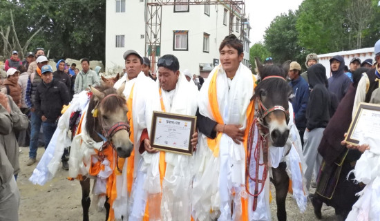 एक लाख पुरस्कारको कदम घोडा दौडमा ढुक्के विष्ट विजय