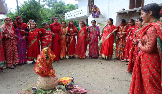 गौरा पर्वको आज तेस्रो दिन, गौरादेवीलाई गौरा घरमा भित्र्याइँदै