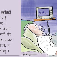 आफन्त फर्किने आशामा बिते उन्नाइस वर्ष