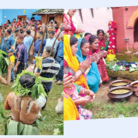 संरक्षण सफलताका पाँच आधार