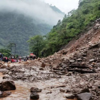 गैँडा संरक्षणमा जलवायु परिवर्तनको असर प्रमुख चुनौती