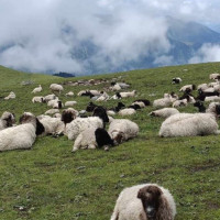 ‘नेपाल र कोरियाबिच जनस्तरको सम्बन्ध छ’