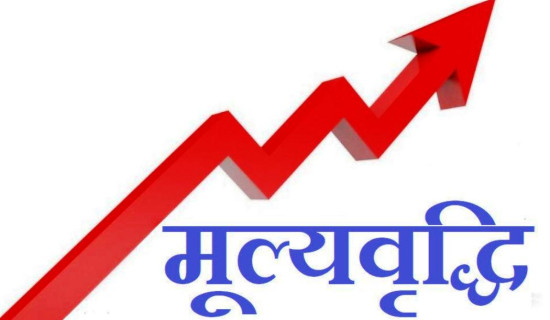 घट्दै परम्परागत मिडियाको सङ्ख्या