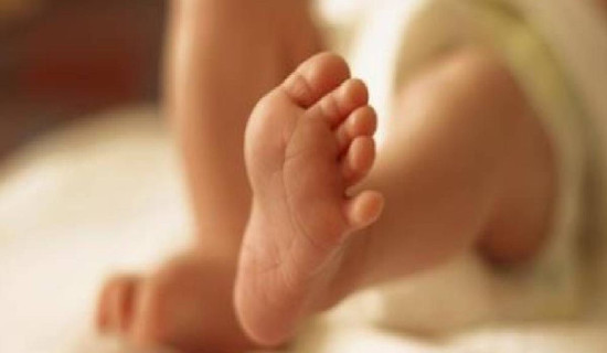 पछिल्लो दुई हप्तामा चोरी अपराधका ५० मुद्दा दर्ता