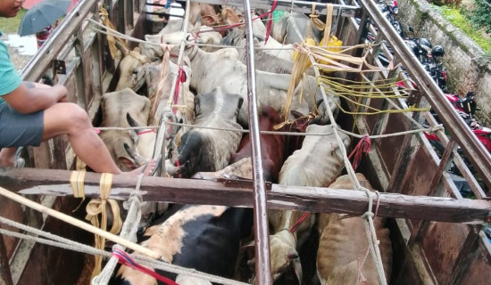 लोकतान्त्रिक संस्कारको अपेक्षा