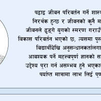 बाँसको व्यावसायिक प्रयोग