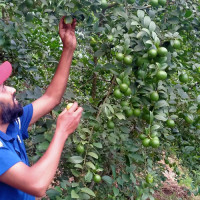 दुई दिनअघि गाडिएको दिदीभाइको शव अनुसन्धानका लागि निकालियो