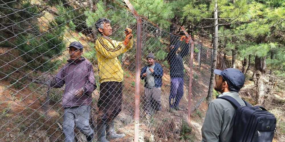 अन्नबाली जोगाउन मध्यरातसम्म गस्ती