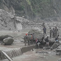 ७४ जिल्लामा २४ सयभन्दा बढीमा डेंगु पुष्टि