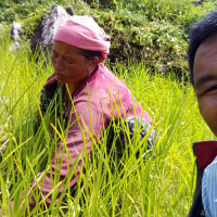 तस्बिरमा ज्येष्ठ नागरिक (फोटो फिचर)