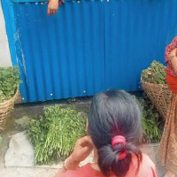 तराई मधेशको जीवनरेखा