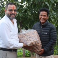 तालमेल भएका सहरमा बढी बदर