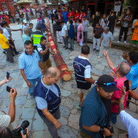 तालमेल भएका सहरमा बढी बदर
