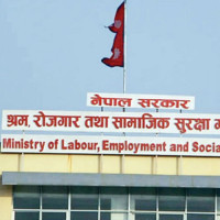पन्क्षीलाई पनि जलवायु परिवर्तनको असर