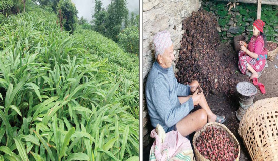 प्रधानमन्त्री प्रचण्डलाई विश्वासको मत