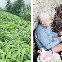 पशुपन्छी विकासका लागि अन्तर्राष्ट्रिय साझेदारी