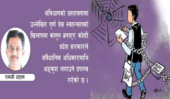 निर्वाचित जनप्रतिनिधिको दायित्व