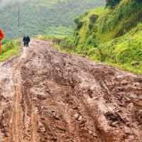 अधिकांश स्थानीय तहमा गठबन्धन सफल
