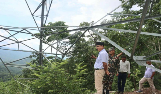 डेरी उद्योगदेखि गाडी सञ्चालनसम्म