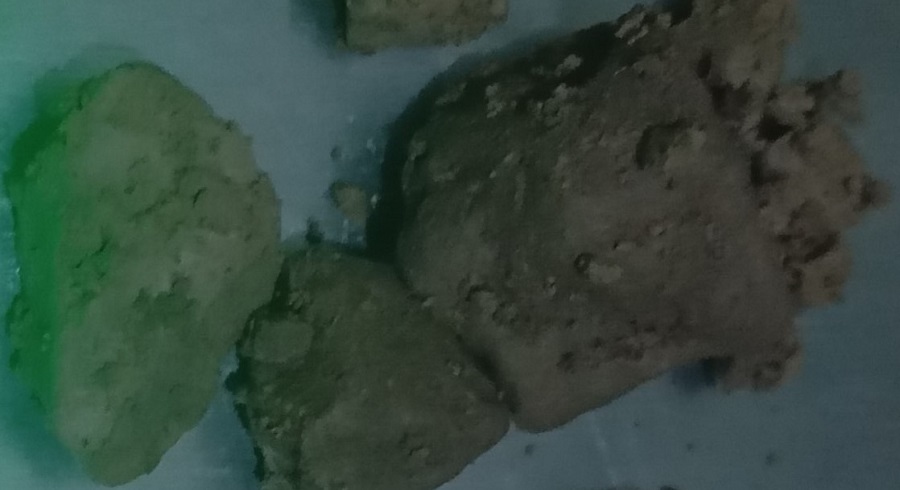 नौ ग्राम लागुऔषधसहित दुई पक्राउ