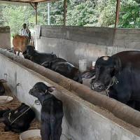 सञ्चालन भएनन् आधारभूत अस्पताल