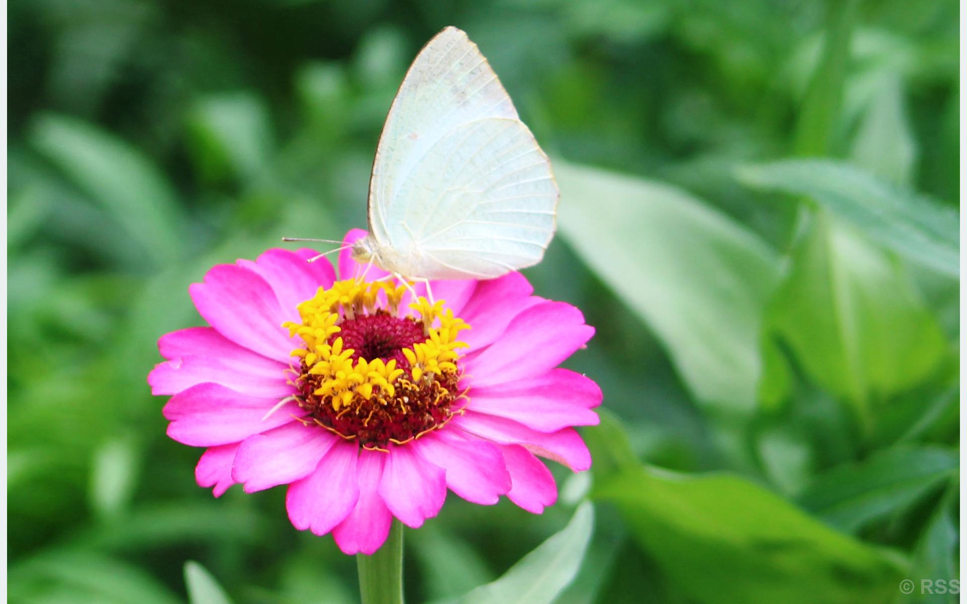 blog