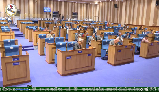 विवादित चिट्ठा विधेयकमाथि प्रदेश सभामा छलफल