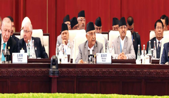 ‘विश्वलाई विभाजन होइन साझेदारी चाहिन्छ’