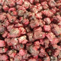 रौतहट १ को (ख) मा कांग्रेसका यादव विजयी